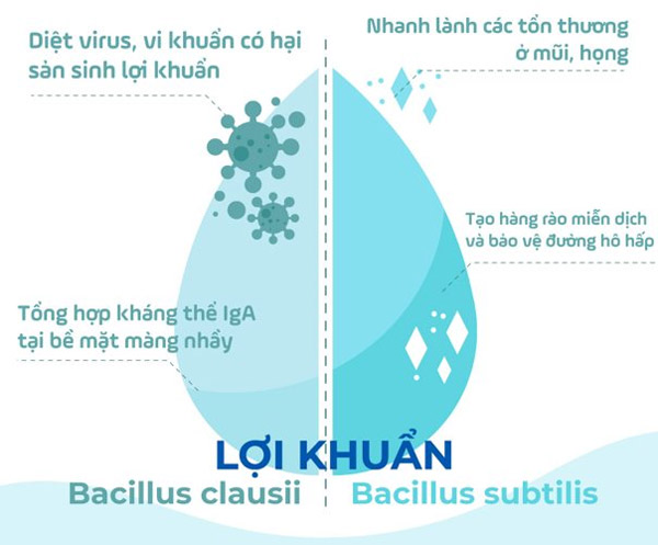 Sử dụng thêm lợi khuẩn hô hấp - cách chữa cảm cúm cho trẻ nhanh nhất và an toàn nhất